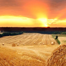 straw, Way, sun, field, west