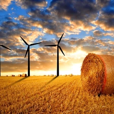 west, field, straw, sun