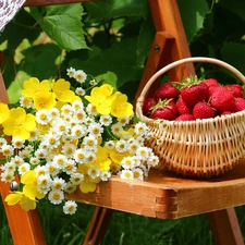 Chair, basket, strawberries, Flowers