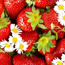 strawberries, White, Flowers