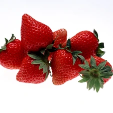 Mature, strawberries