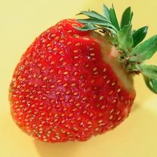 delicious, strawberry