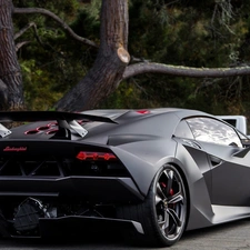 Street, trees, Lamborghini, Sesto Elemento, Black