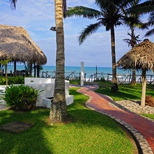 Strzechowe, canopies, Pavement, Palms, lawns