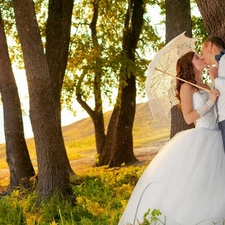 forest, Steam, sun, autumn, rays, newlyweds