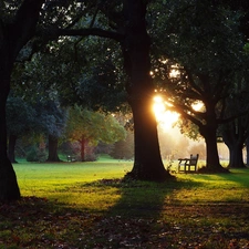 sun, Bench, viewes, west, trees