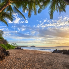 Beaches, Palms, rays of the Sun, sea, Aloha State Hawaje