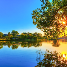 sun, trees, lake