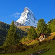 forest, Mountains, cote, Meadow, sun, shadow, luminosity, Matterhorn, mount, flash, ligh