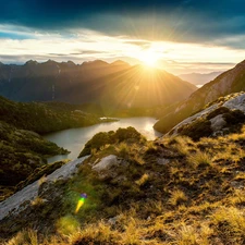 sun, Plants, River, rays, Mountains