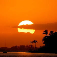 River, west, sun, Palms