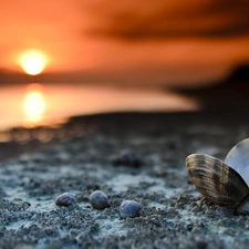 shell, west, sun, Sand