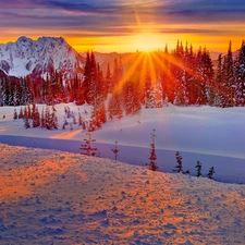 viewes, Mountains, sun, winter, west, trees