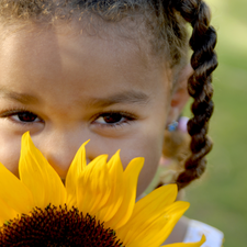 Sunflower, girl, pigtail