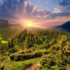 Mountains, Path, Sunrise, woods