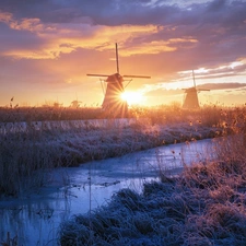 rushes, Sunrise, Windmills, grass, River