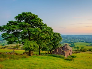 house, trees, ledge, viewes, Field, ruins, Great Sunsets