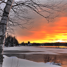 birch, forest, Great Sunsets, lake, winter