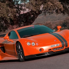 Automobile, Ascari A10, Super