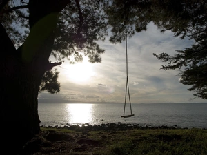 sea, trees, Swing, coast