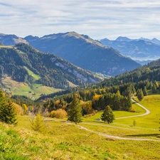 viewes, Way, The Hills, trees, Mountains, Meadow, Switzerland