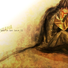 sword, Gintama, Hijikata