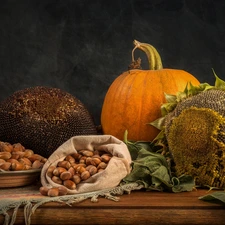 cloth, composition, Table, Hazelnuts, pumpkin, Sunflower