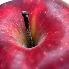 tail, Red, Apple