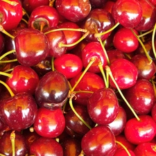 cherries, tails