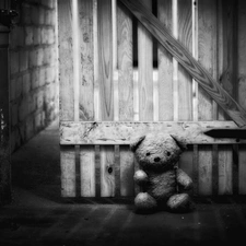 teddy bear, basement