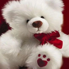 bow, White, teddy bear