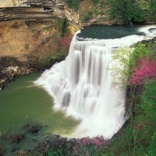 waterfall, Burgess, Tennessee, scrub