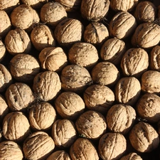 nuts, texture