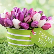 thanks, bouquet, Tulips