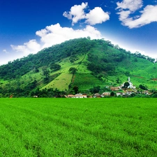 Austria, field, The Hills, Tirol