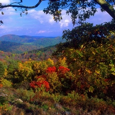 autumn, viewes, The Hills, trees