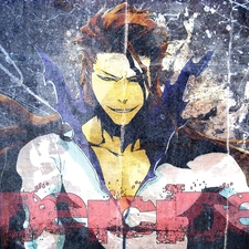 change, Aizen, The final