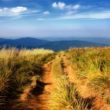 The Hills, Sky, Field, grass, Way