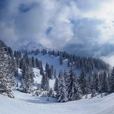 Valley, Mountains, Spruces, The Hills, winter