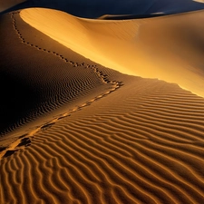 Desert, Africa, traces, Namibia