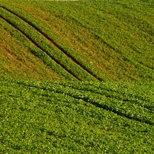tractor, Field, traces
