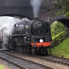 Train, bridge, ##, locomotive