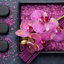 orchids, salt, Incense, crystals, Stones, Flowers, Spa, Tray