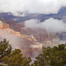 canyon, branch pics, trees, clouds