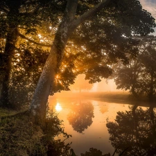 Northamptonshire County, England, Lyveden New Bield, River, morning, Sunrise, trees, viewes, Fog