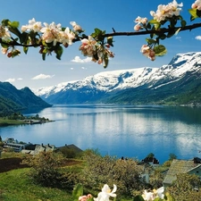 Mountains, flourishing, trees, lake