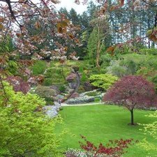 Spring, flourishing, trees, Garden