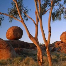 Stones, trees