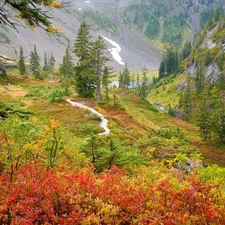 trees, viewes, Mountains, Path, autumn