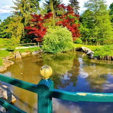 trees, viewes, summer, Pond - car, Park